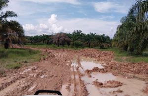 Jalan di Ulak Embacang Segera di Perbaiki, Berkat Laporan Warga di Call Center 112
