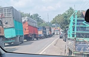 Bersama Warga, Pj Bupati Apriyadi Susuri Kebun Sawit Bersama Warga, Pj Bupati Apriyadi Susuri Kebun Sawit