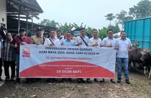 Pemkab Musi Banyuasin Terima 19 Ekor Sapi Kurban dari PT GPI Pemkab Musi Banyuasin Terima 19 Ekor Sapi Kurban dari PT GPI
