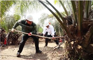 Gubernur Dampingi Mentan RI Panen PSR Terbesar di Indonesia