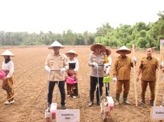 Pj Bupati dan Kapolres OKI Tanam Jagung Serentak