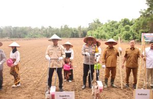 Pj Bupati dan Kapolres OKI Tanam Jagung Serentak
