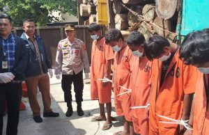 Polda Sumsel Sita 150 Batang Kayu Log Ilegal, Lima Pelaku Dibekuk di Babat Supat